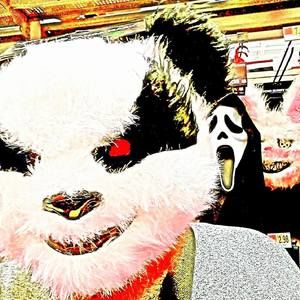 Meet your Posher, Jay